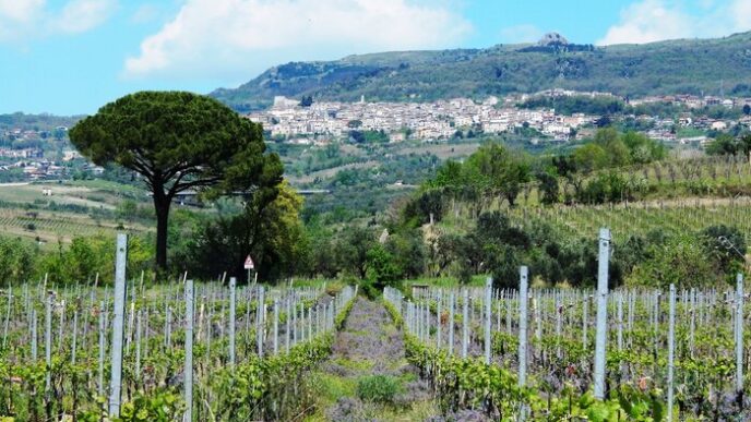 Presentate Le Nuove Annate De