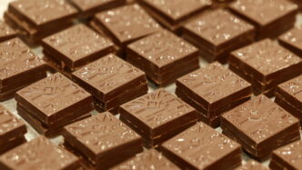 Prezzi Del Cacao In Aumento Tr