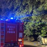 Principio D’incendio Su Un Filobus Fuori Servizio In Via Laurentina Nel Cuore Della Notte