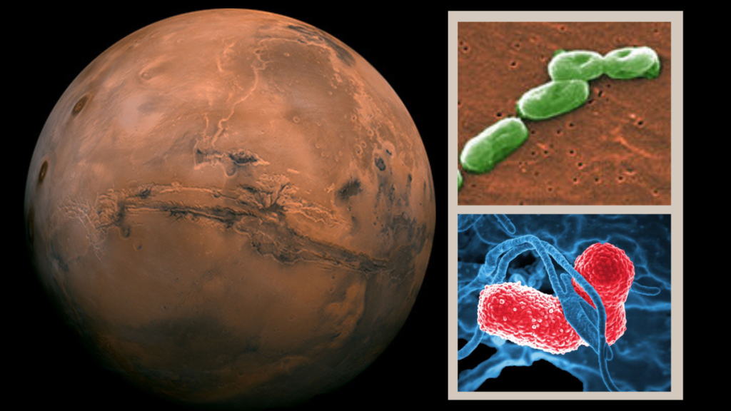 Radiazioni Uv Su Marte E Sopra