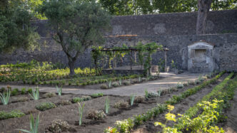 Restauro Del Giardino Di Ercol