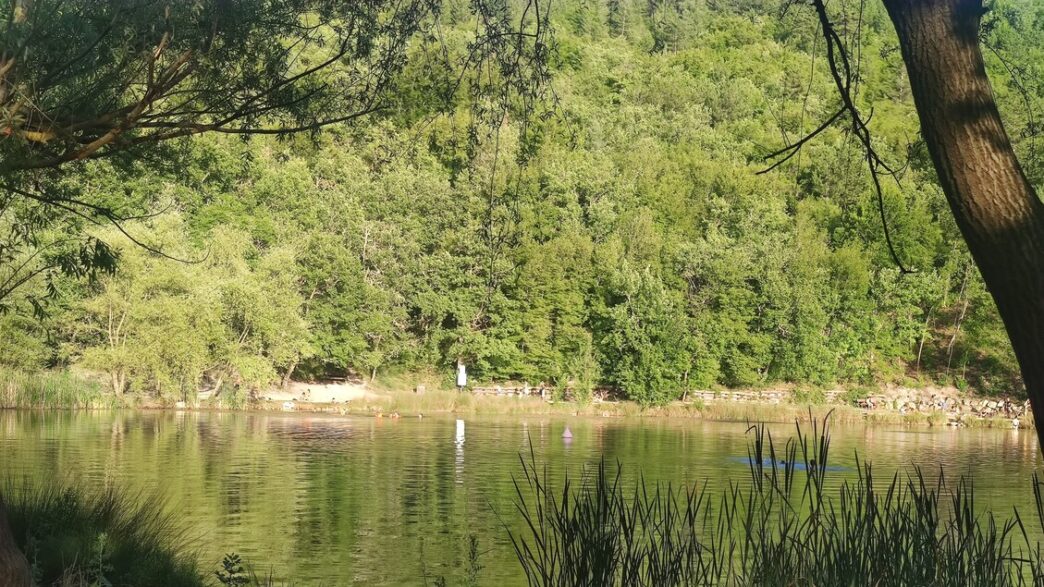 Ricerche In Corso Nel Lago Sin