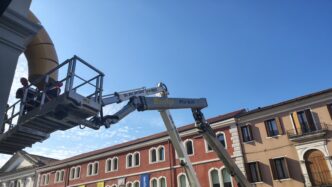 Rimozione Della Coda Di Leone
