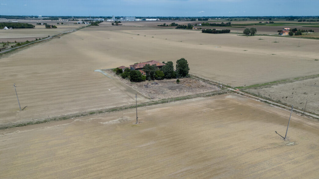 Ripresa Del Settore Agroalimen