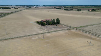 Ripresa Del Settore Agroalimen
