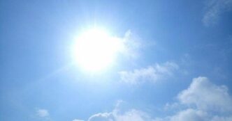Roma 20242C Temperature Record