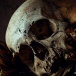 Scandalo Nella Casa Funeraria Di Penrose Con 190 Cadaveri Abbandonati E Urne Contente Finto Cemento
