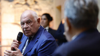 Senato Boccia Le Pregiudiziali