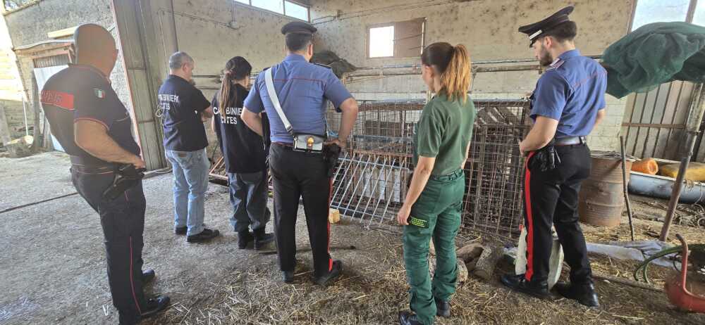 Sequestro A Roma Prima Porta3A