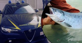 Sequestro Da Oltre 9 Milioni A