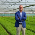 Si Chiude Il Progetto 100% Rucola: Economia Circolare E Ricerca Per La Filiera Della Piana Del Sele