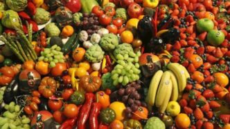 Sicurezza Alimentare E Rischio