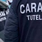 Sicurezza Sul Lavoro A Sermoneta, Titolare Denunciata E Attività Sospesa Per Irregolarità Gravi