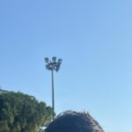Simone D’Orazio Di Chieti Nuovo Campione Italiano Esordienti A Nei 200 Delfino Al Trofeo Delle Regioni