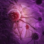 Sperimentazioni Sulla Stazione Spaziale Internazionale Per Nuove Frontiere Nella Diagnosi E Cura Del Cancro