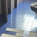 Svastica Disegnata Rimuovendo Piastrelle In Un Bagno Del Liceo Cartesio A Triggiano, La Reazione Dei Giovani Democratici Di Puglia