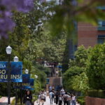 Tensioni Attorno A Harvard E Ricerca Internazionale In Luce Tra Studenti E Istituzioni Europee