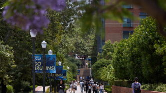 Tensioni Attorno A Harvard E R