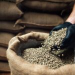 Terza Edizione Del Convegno Sull’Oro Verde: Focus Sulle Sfide Del Mercato Globale Del Caffè Crudo A Nola