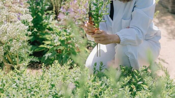 The Good Farmer Award Premia G