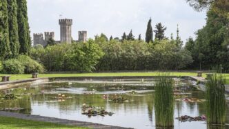 Tigli2C Rose E Ninfee3A I Giardi