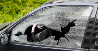 Torino2C Furti E Danneggiamenti