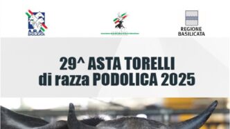 Torna Le28099Asta Dei Torelli Di Ra