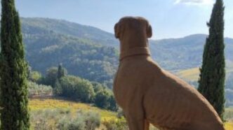 Toscana2C Dal 20 Al 24 Giugno L