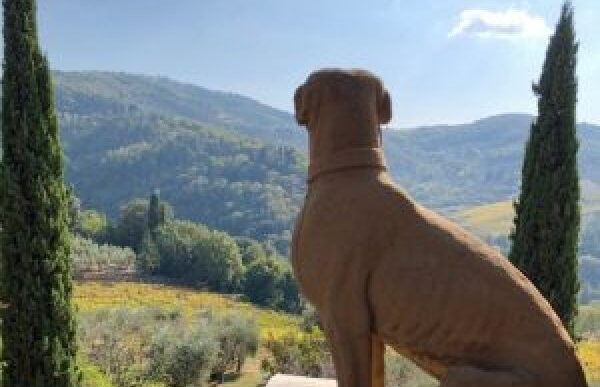 Toscana2C Dal 20 Al 24 Giugno L