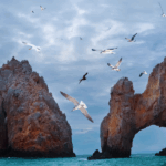 Tour2000Americalatina Presenta Sei Nuovi Tour Self Drive E Crociere Esclusive In Baja California