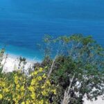 Tre Persone Ferite Sulla Spiaggia Di Mezzavalle Ad Ancona Per La Caduta Di Un Albero, Soccorsi Immediati In Mare