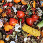 Troppo Food Waste, Il Progetto Di Too Good To Go Per Educare I Bambini Tra I 6 E Gli 11 Anni