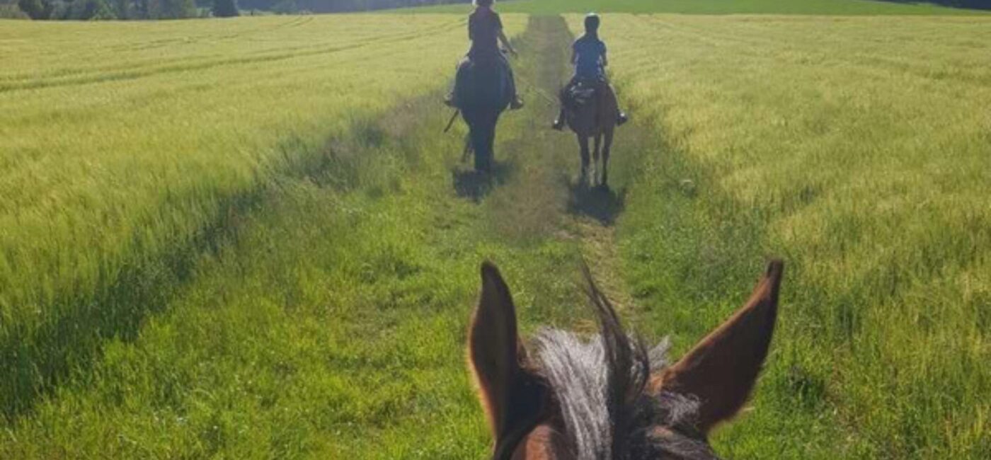 Turismo Equestre Sostenibile I