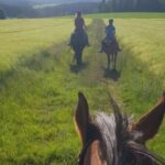 Turismo Equestre Sostenibile In Baviera E Baden-Württemberg: Un Nuovo Corso Per Il 2024 E Oltre
