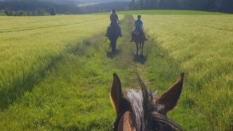 Turismo Equestre Sostenibile I
