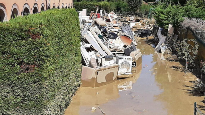 Udienza Rinviata Per Il Proces