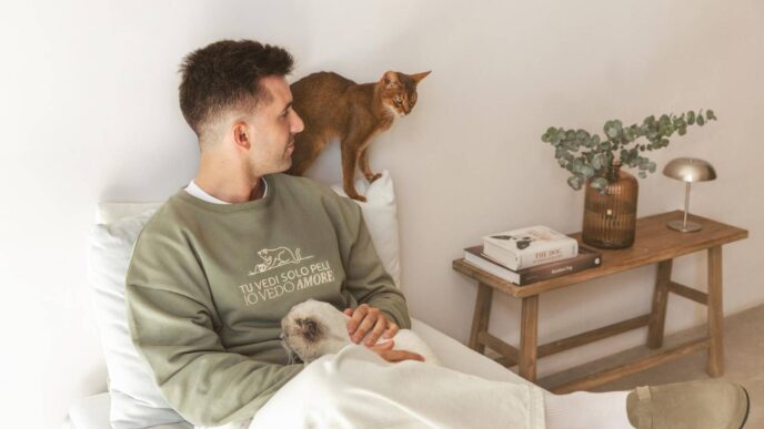 Ultima Lancia La Campagna Amor