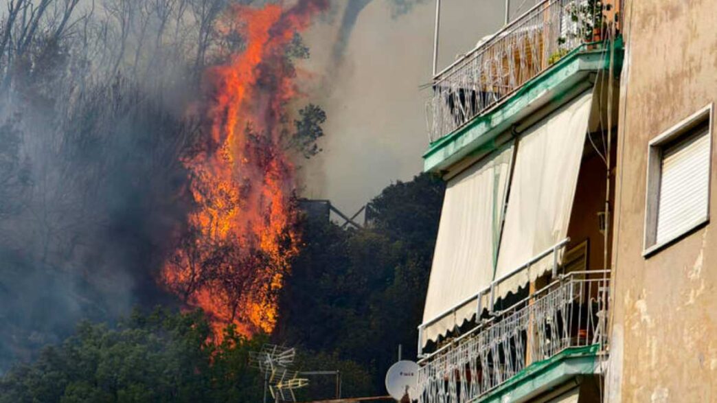 Un Gatto Muore In Un Incendio