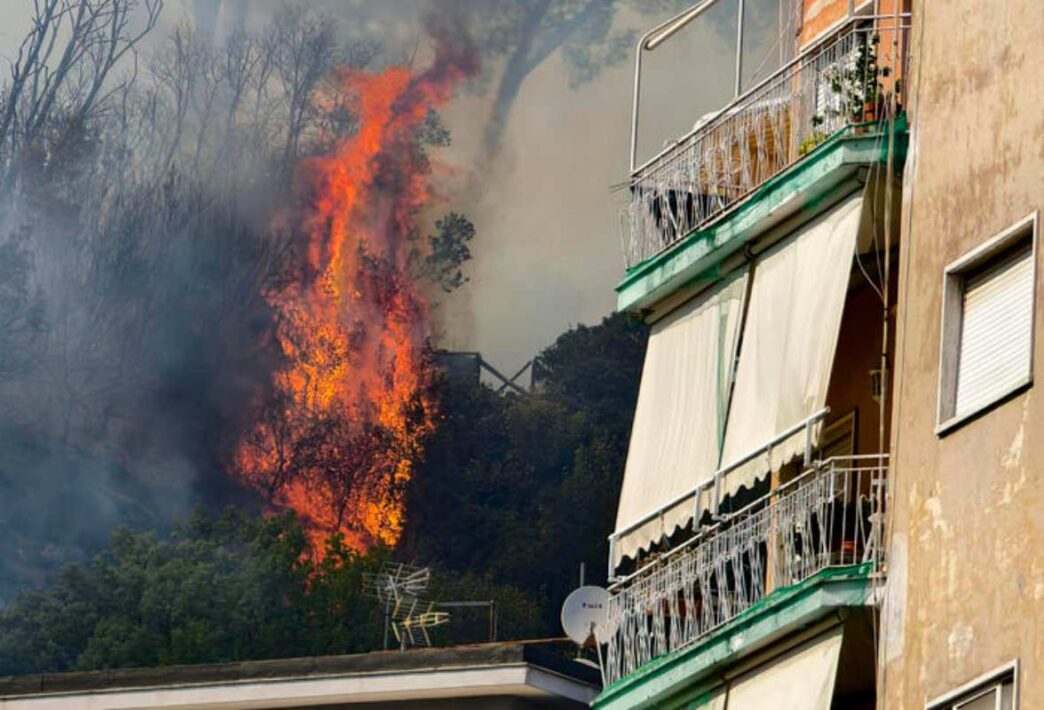 Un Gatto Muore In Un Incendio