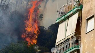 Un Gatto Muore In Un Incendio
