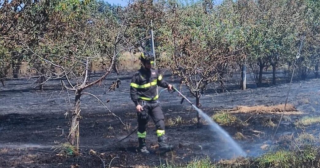Un Incendio Devasta Un Campo D