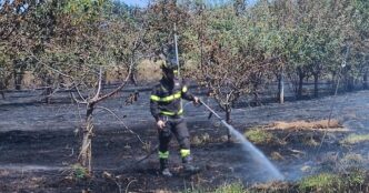 Un Incendio Devasta Un Campo D
