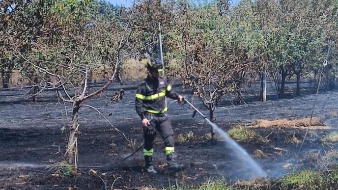 Un Incendio Devasta Un Campo D