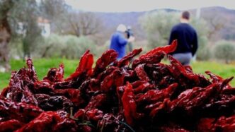 Un Modello Sostenibile Per Val