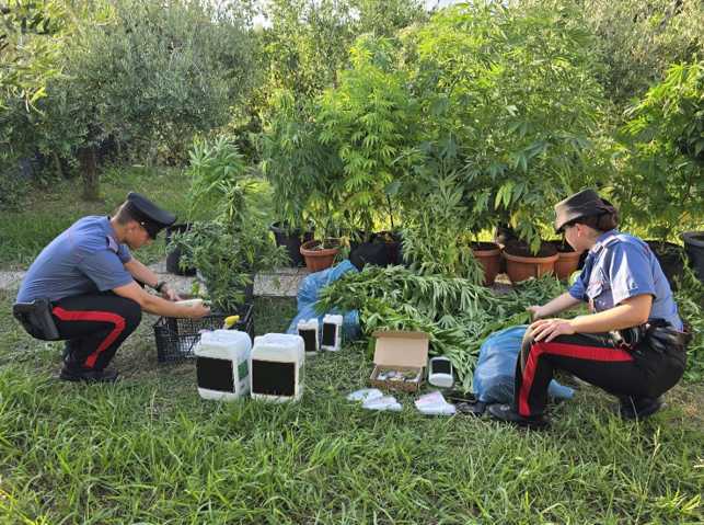 Uomo Arrestato A Fondi Con 75