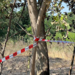 Uomo Ritrovato Morto Tra Le Sterpaglie In Fiamme Al Parco Del Serio A Romano Di Lombardia