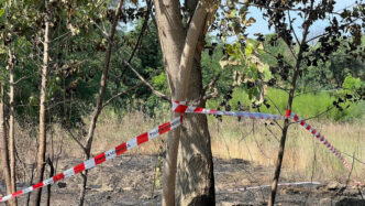 Uomo Ritrovato Morto Tra Le St