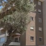 Urban District A Roma, Un Quartiere Green E Inclusivo Nel Cuore Di Città Verde