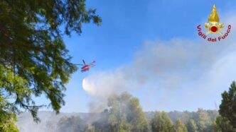 Vasto Incendio Di Sterpaglie A