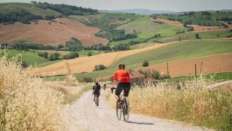 W21 Il Festival A Castelleone D